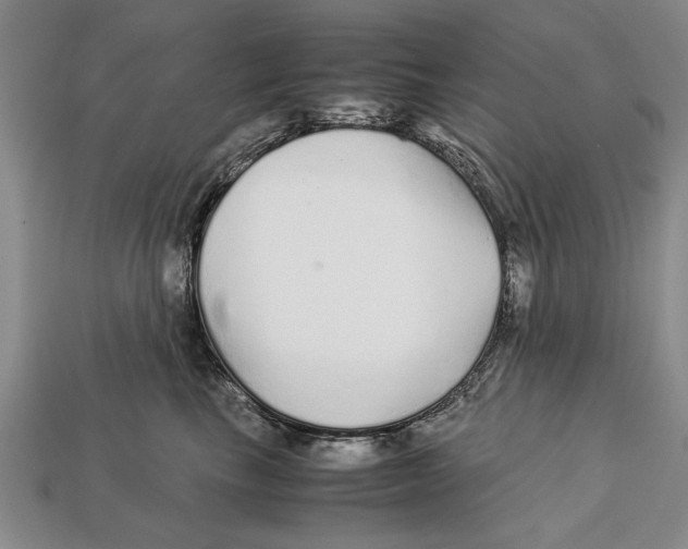 X0000113010665200909241353