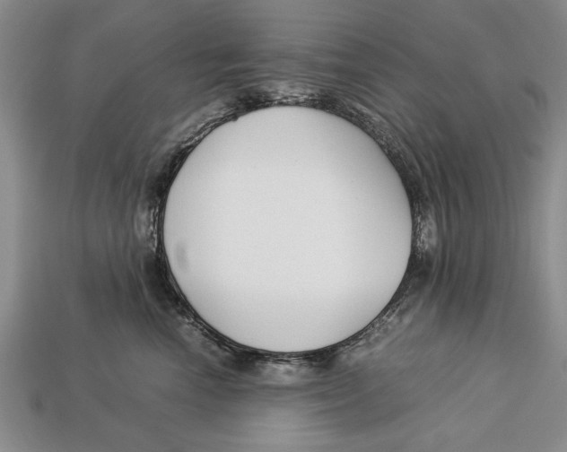 X0000113010666200909241353