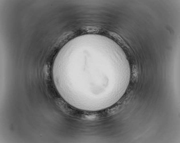 X0000113010667200909241353
