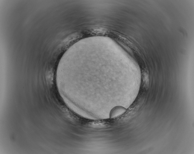 X0000113010668200909241353