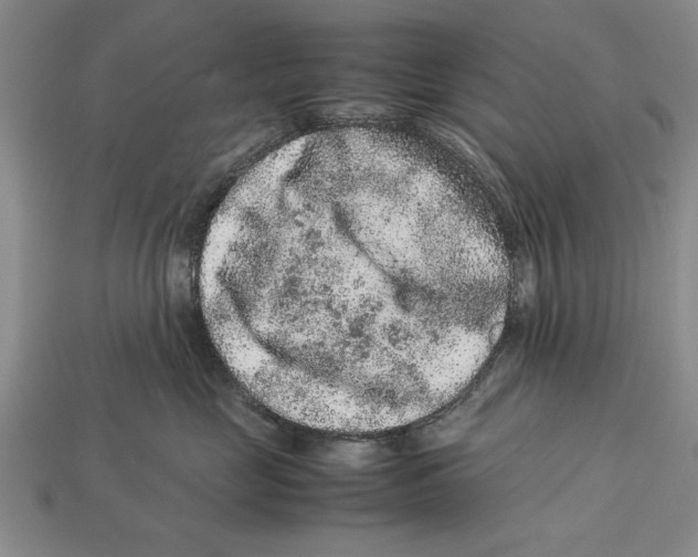 X0000113010669200909241353