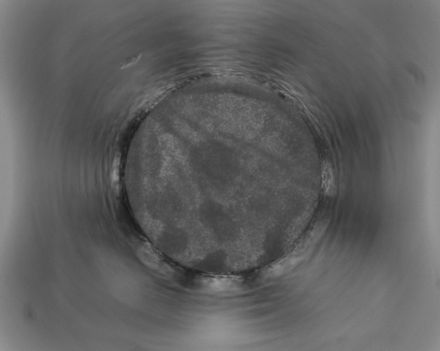 X0000113010670200909241353
