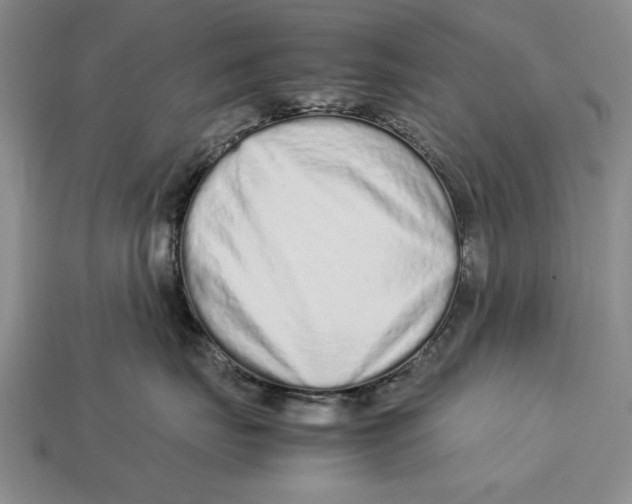X0000113010671200909241353