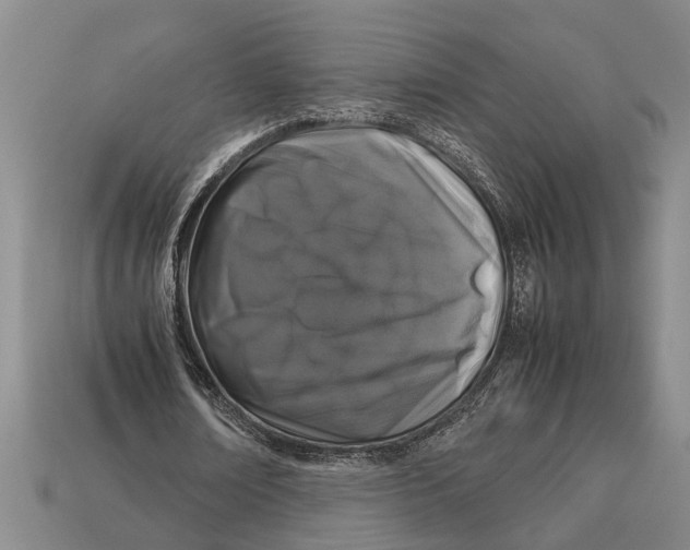 X0000113010674200909241352