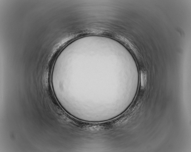 X0000113010675200909241352