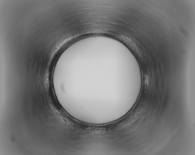 X0000113010676200909241352