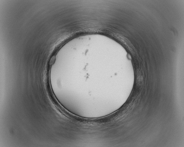 X0000113010677200909241352