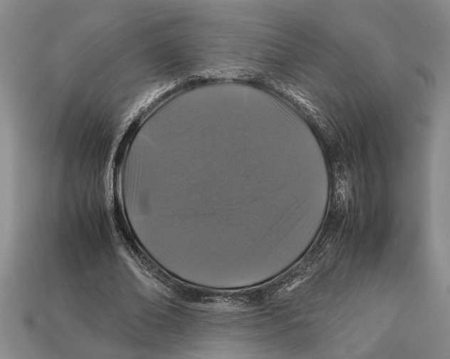 X0000113010678200909241352