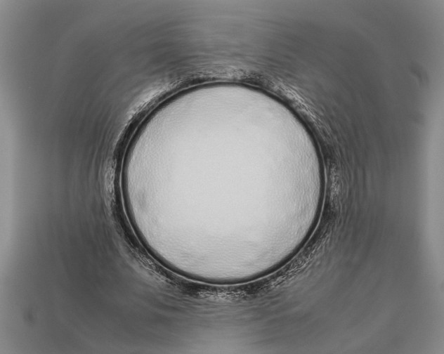 X0000113010679200909241352