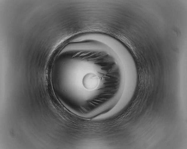 X0000113010680200909241352