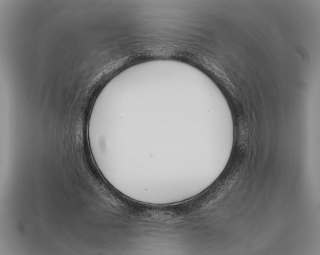 X0000113010681200909241352