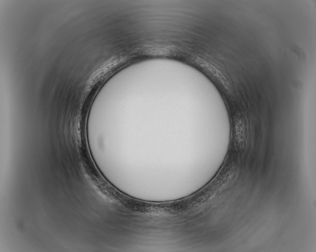 X0000113010682200909241352