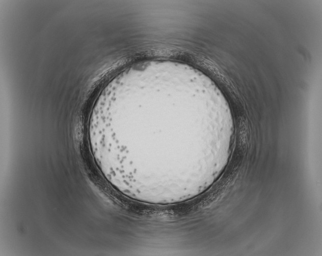 X0000113010683200909241352