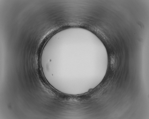X0000113010684200909241352
