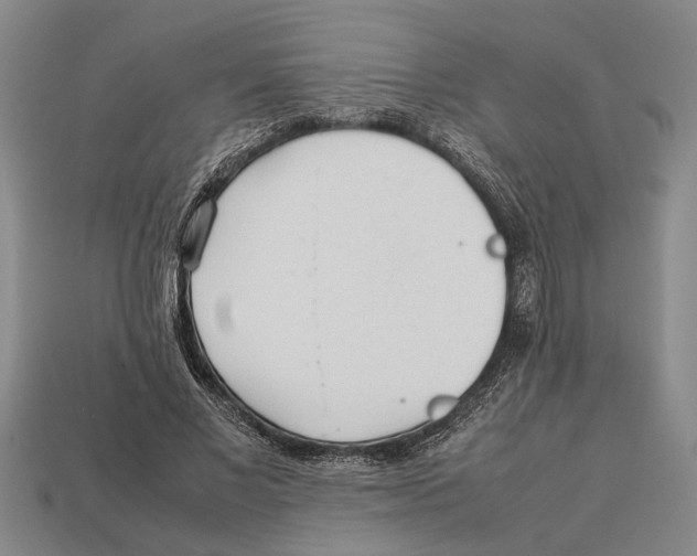 X0000113010685200909241352