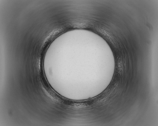 X0000113010686200909241352