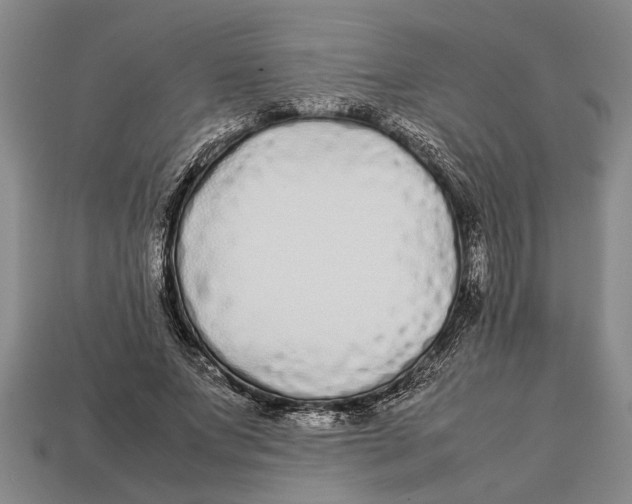 X0000113010687200909241352