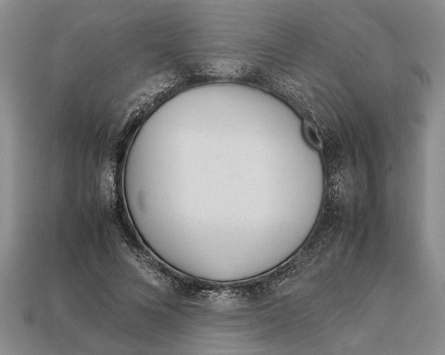 X0000113010688200909241352