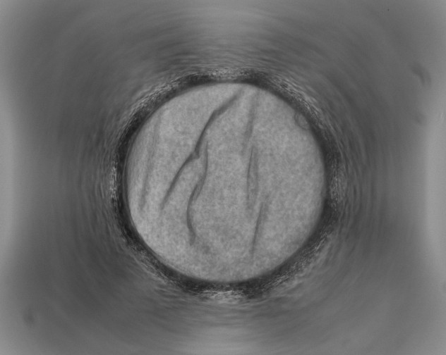 X0000113010689200909241352