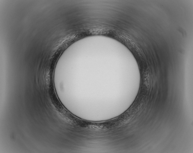 X0000113010690200909241352