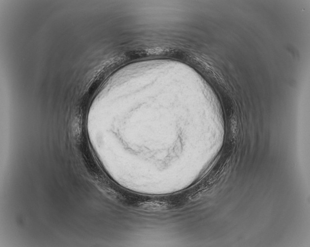X0000113010691200909241352