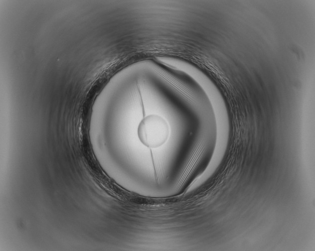 X0000113010692200909241352