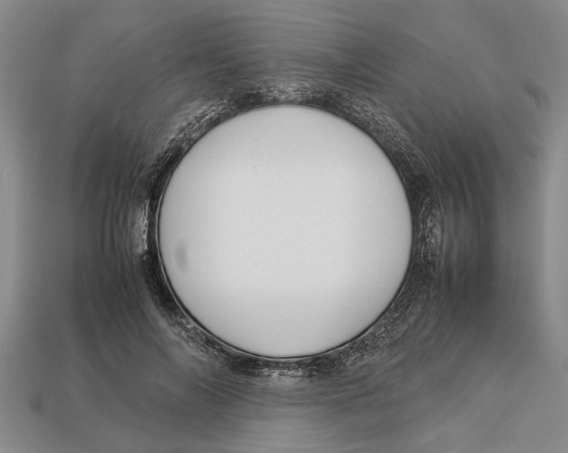 X0000113010694200909241352