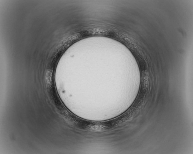 X0000113010695200909241352