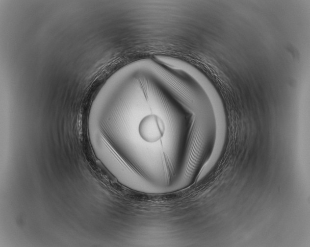 X0000113010696200909241352
