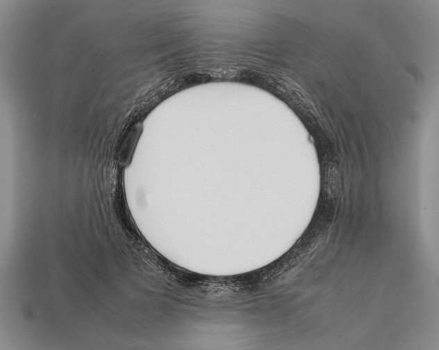 X0000113010697200909241352