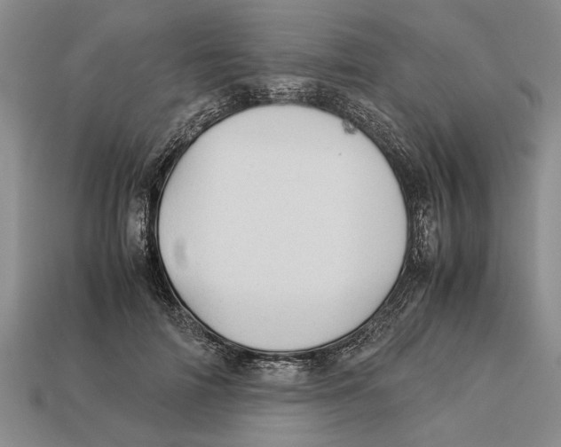 X0000113010698200909241352