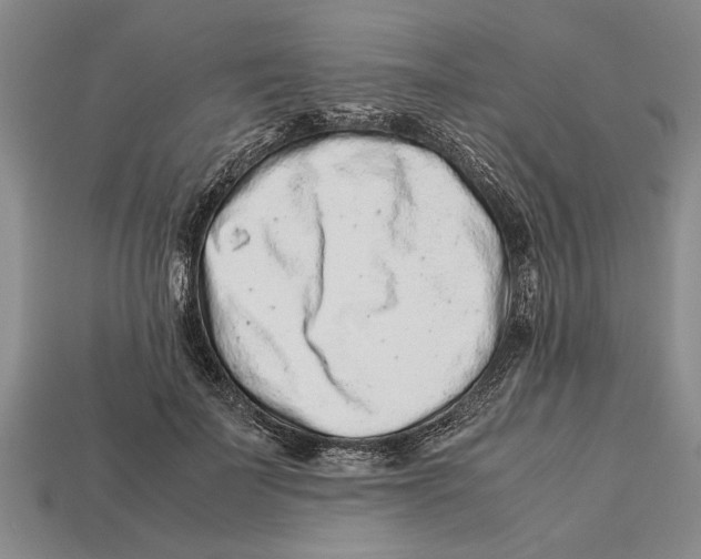 X0000113010699200909241352