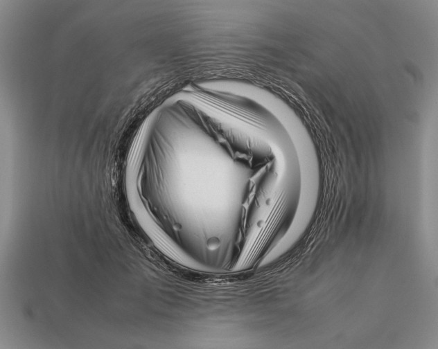 X0000113010701200909241352