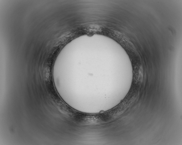 X0000113010704200909241352