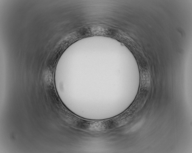 X0000113010705200909241352
