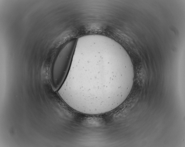 X0000113010708200909241352