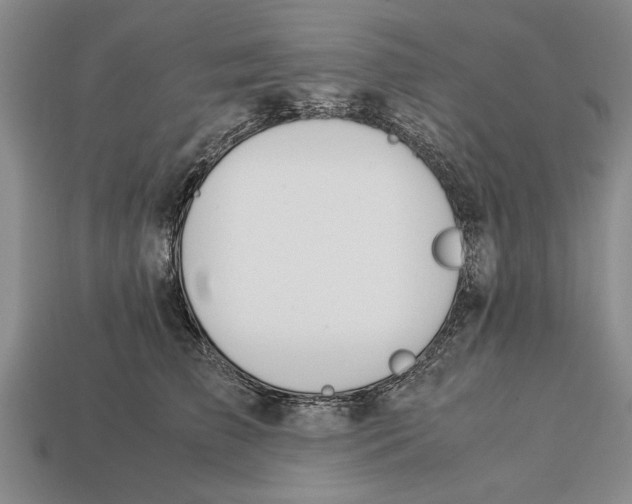 X0000113010709200909241352