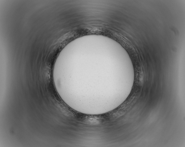 X0000113010710200909241352