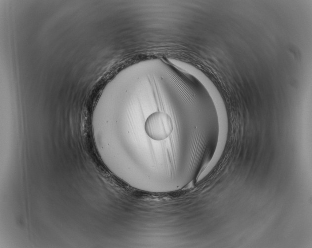 X0000113010712200909241352