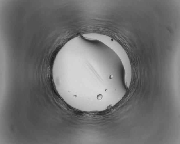 X0000113010713200909241352