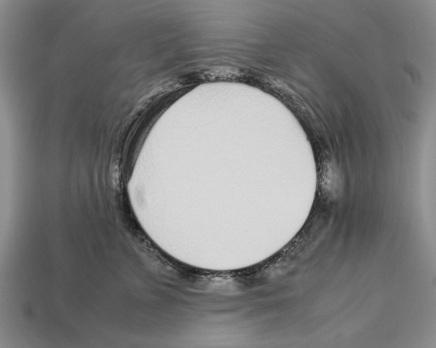X0000113010715200909241352