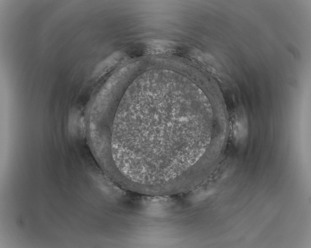 X0000113010716200909241352