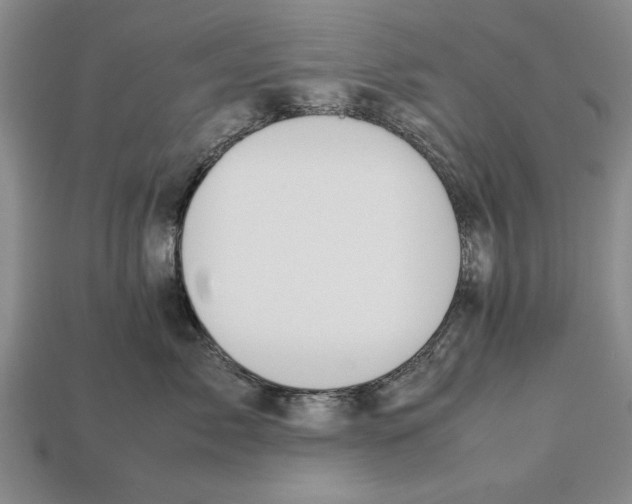X0000113010717200909241352