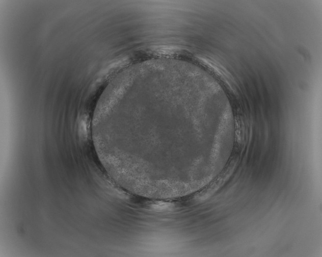 X0000113010718200909241352