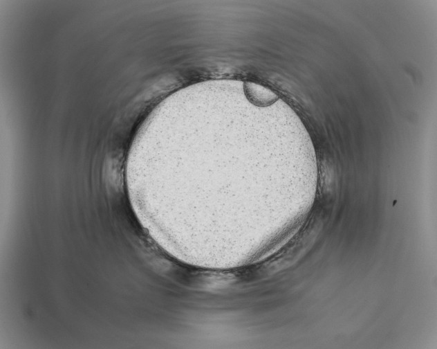 X0000113010719200909241352