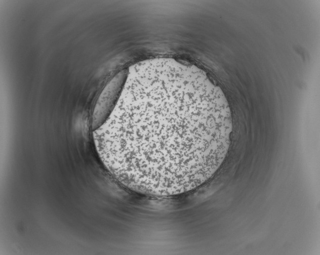 X0000113010720200909241352