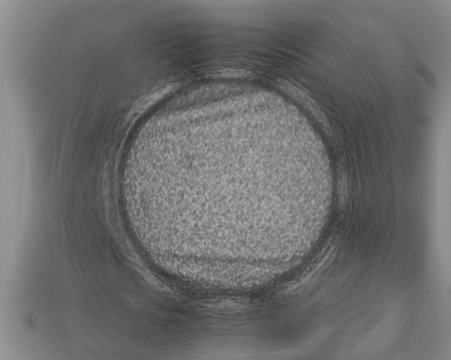 X0000113010721200909241351