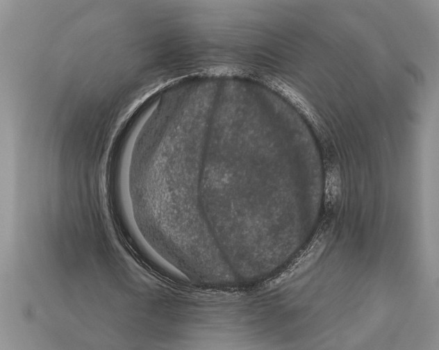 X0000113010722200909241351