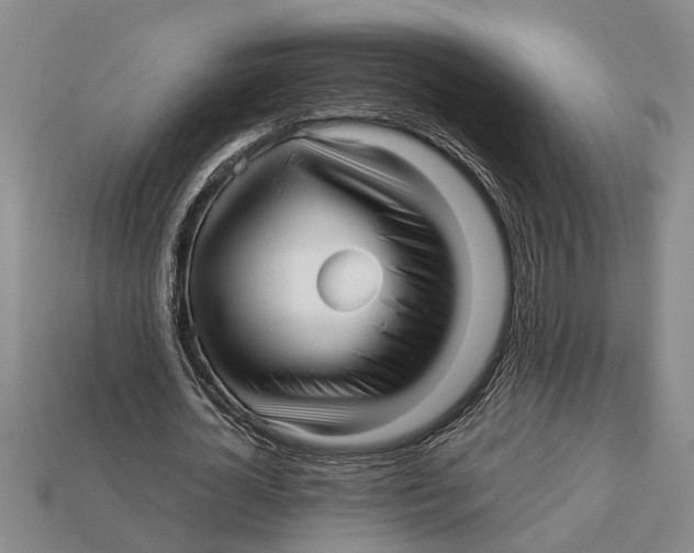 X0000113010724200909241351