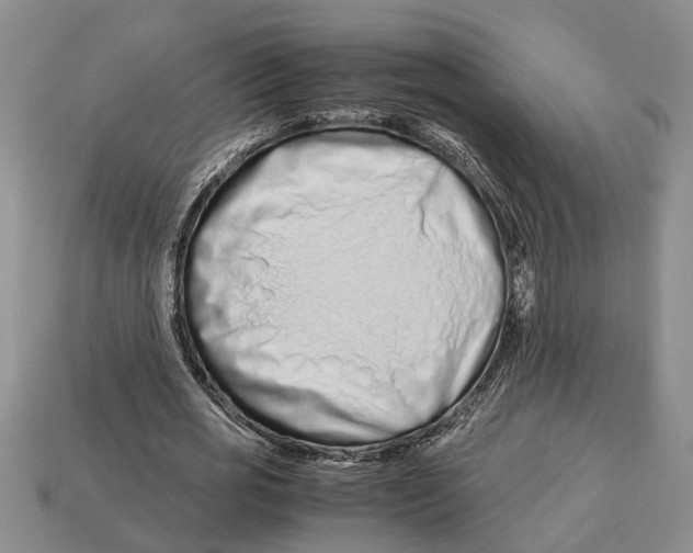 X0000113010725200909241351